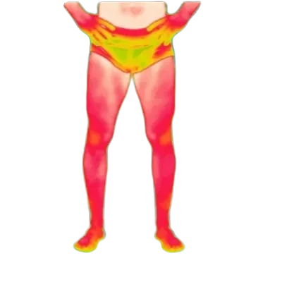 Baseline thermal scan