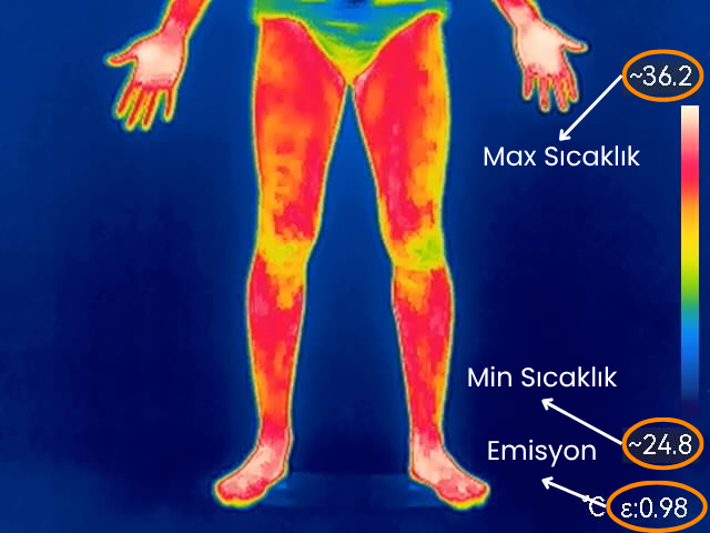 Affichage des températures maximale et minimale ainsi que de l’émissivité sur une image thermique